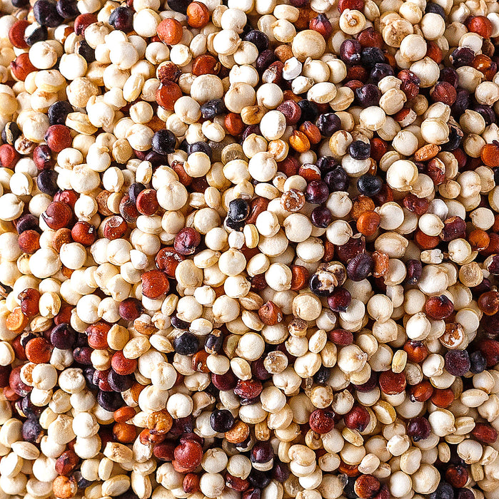 Bulk Quinoa, Tri-Colored Organic