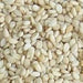 Bulk Sesame Seeds - The Nut Garden