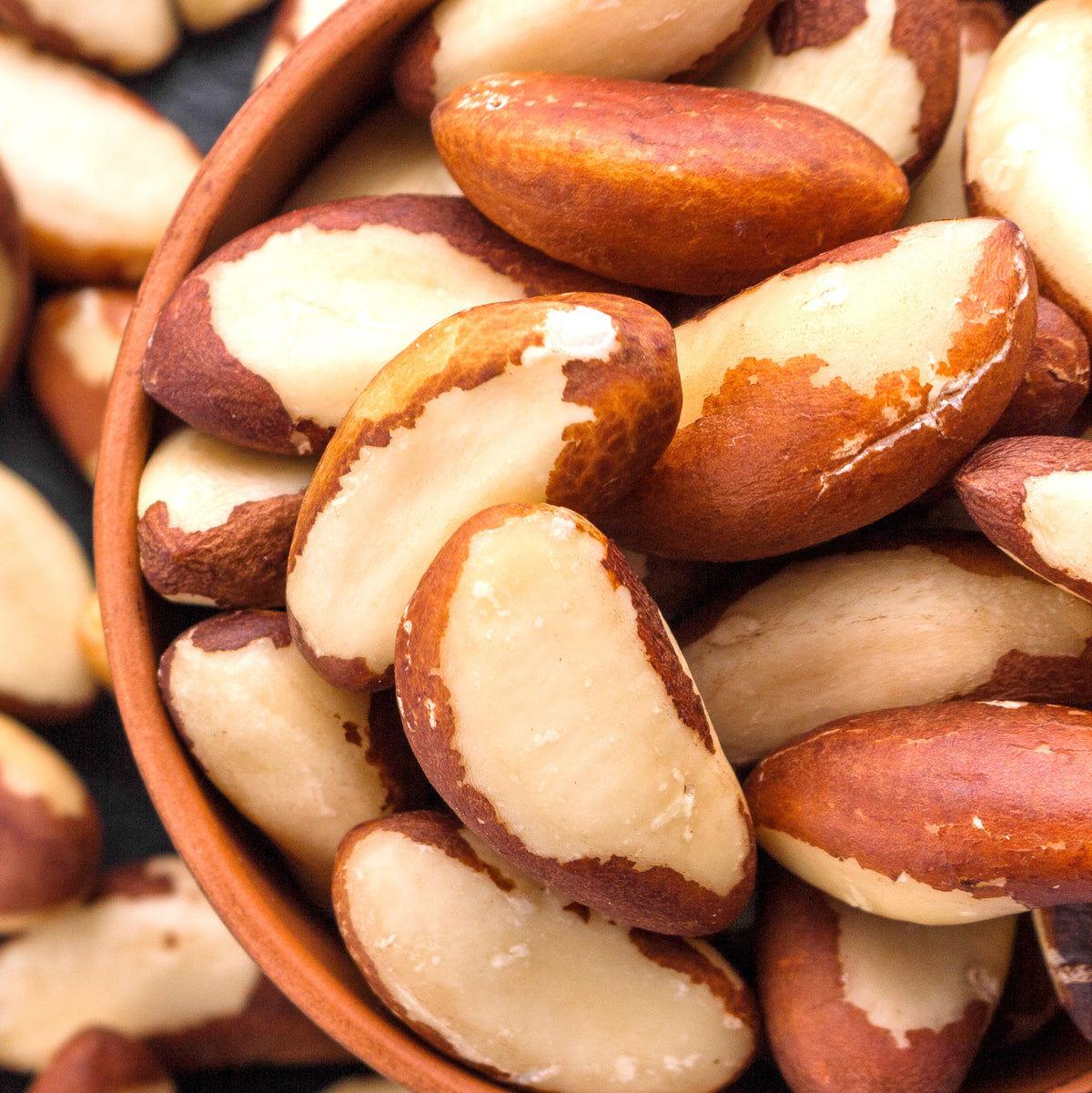 Brazen Brazil Nuts — The Nut Garden