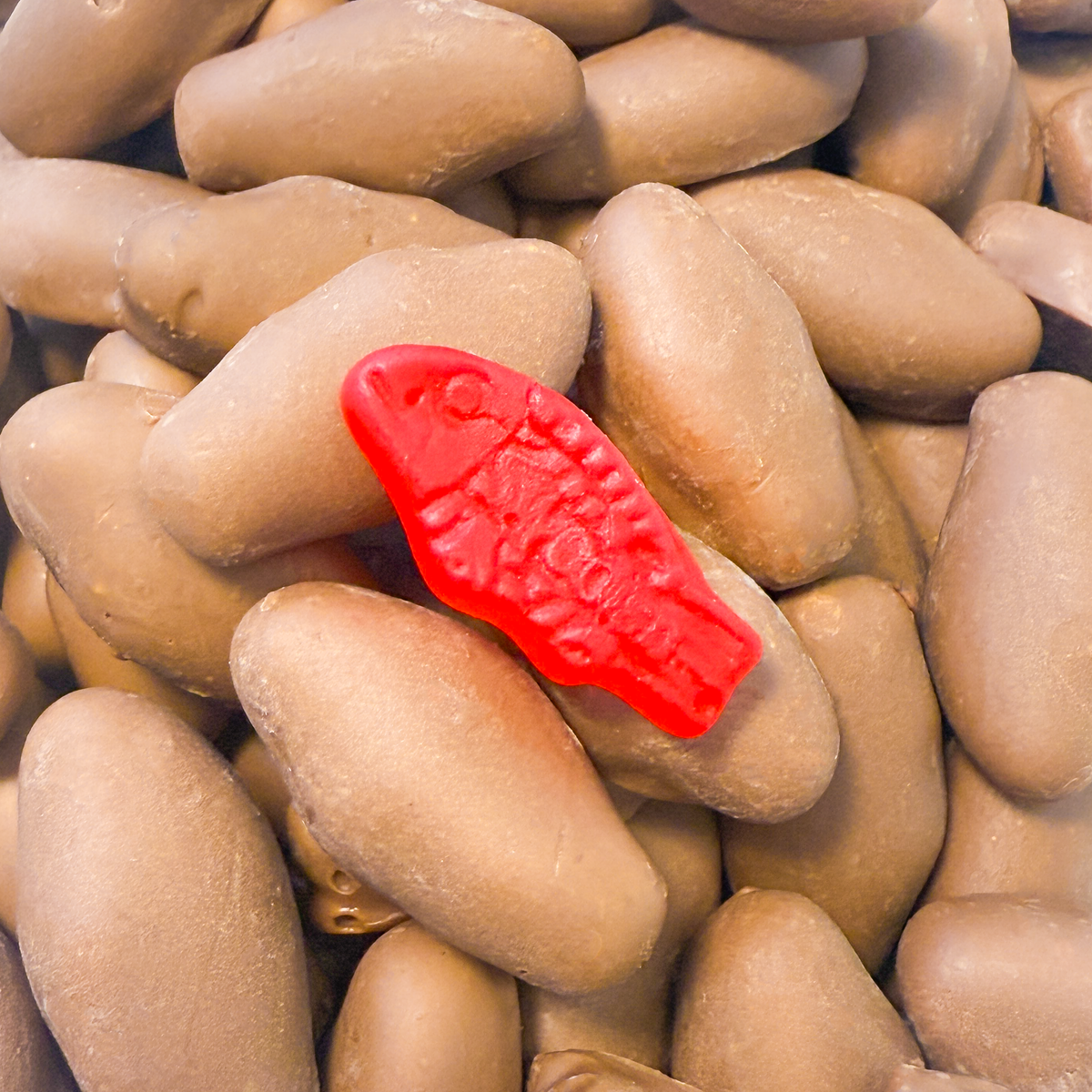 Swedish Fish, Milk Chocolate Covered (12 oz)