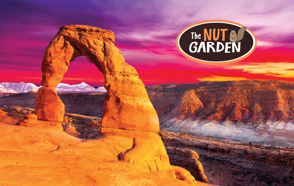 Gift Card: Utah Arches (Nut Garden)