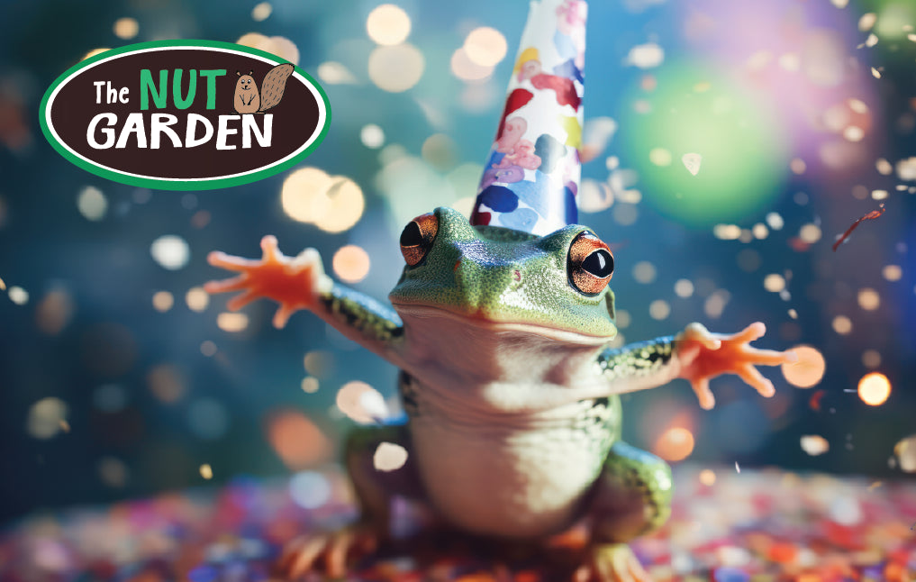 gift-card-frog-party-celebration