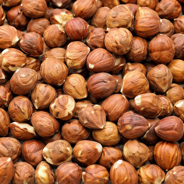 Hazel Nuts, Raw Filberts (12 oz)