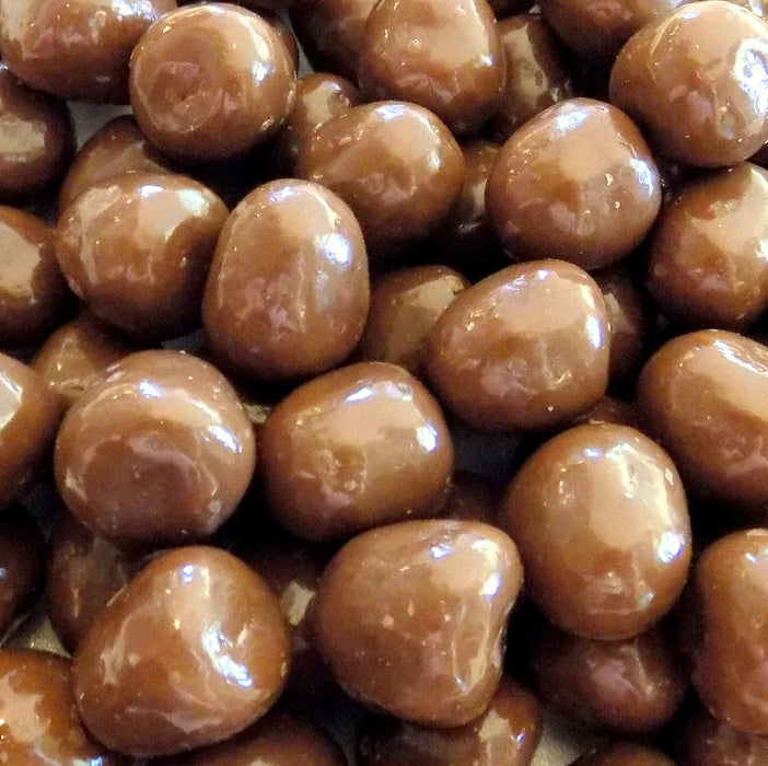 Caramels, Milk Chocolate Covered (14 oz) - The Nut Garden