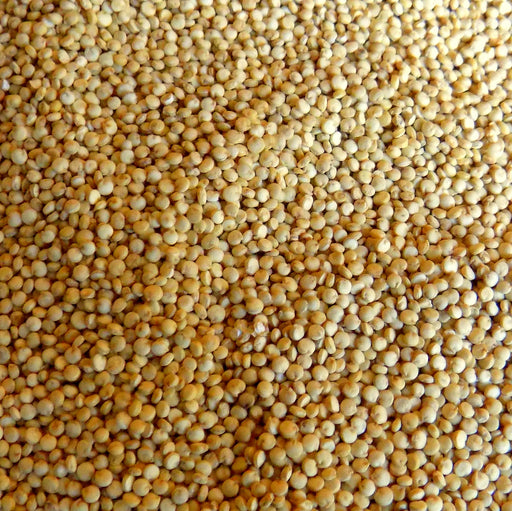Bulk Quinoa, Organic - The Nut Garden