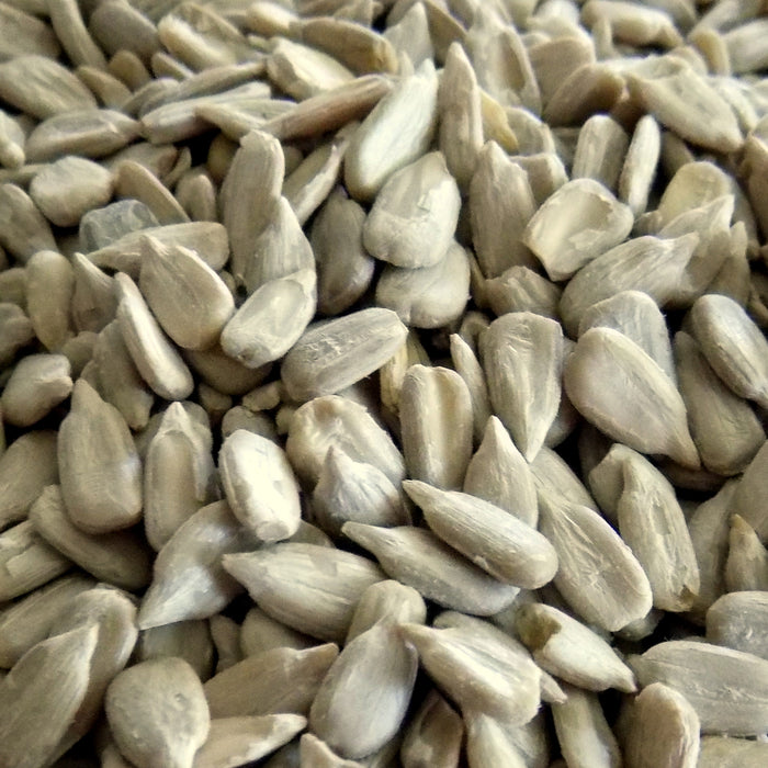 bulk garden seeds for sale near me Bulk Sunflower Seeds, Raw