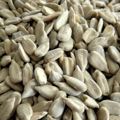 Sunflower Seeds, Raw (14 oz) - The Nut Garden