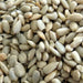 Sunflower Seeds, Roasted and Salted (14 oz) - The Nut Garden