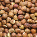 Bulk Hazel Nuts, Filberts - The Nut Garden