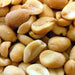 Peanuts, Roasted and Salted (16 oz) - The Nut Garden