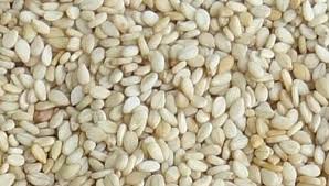 Bulk Sesame Seeds - The Nut Garden