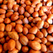 Peanuts, Spanish Raw (16 oz) - The Nut Garden