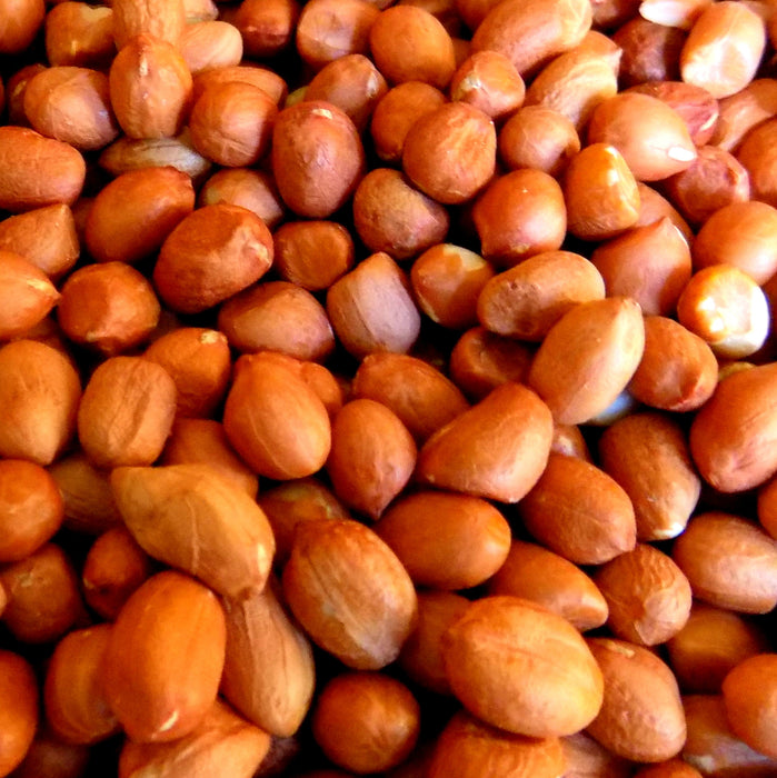 Bulk Peanuts, Raw Spanish Red Skin - The Nut Garden