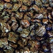 Bulk Cherries, Tart - The Nut Garden