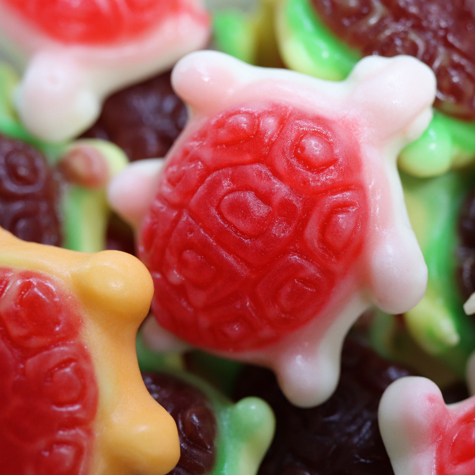Soft Shelled Sea Turtles Gummies (Jelly Filled) | Sweetables — The Nut ...